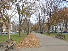 Commonwealth Mall in autumn