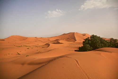 Dunes in Merzouga