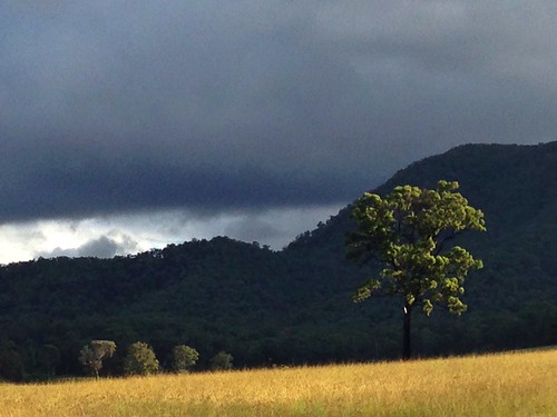 light sky cloud storm tree field dark gold golden australia huntervalley