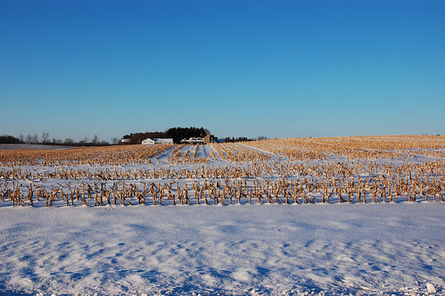 winter sunset ohio snow cold ice farmhouse rural evening frozen corn frost dusk snowy freezing frosty farmland freeze crop oh farms crops icy agriculture wintertime westerville snowfall maize evenings snows wintry ruralohio centralohio cornstubble