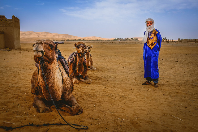 A Berber and his Camels | Flickr - Photo Sharing!