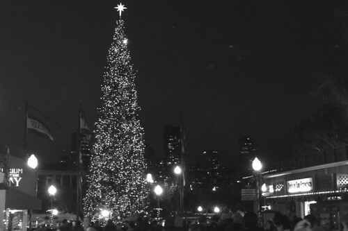 Christmas in the City - Pier 39