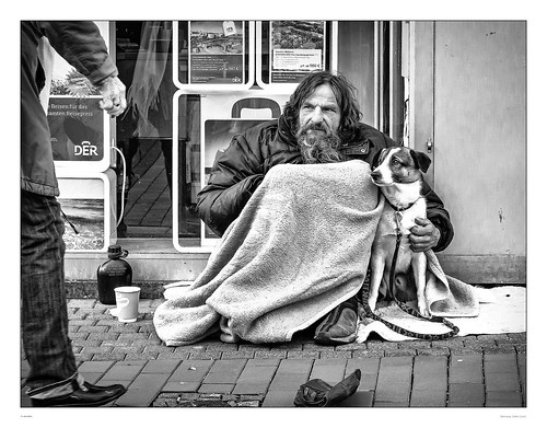 blackandwhite bw dog canon germany view homeless benefit 2015 giesen sdcfoto