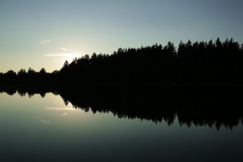 lake reflection twilight forest sunset evening