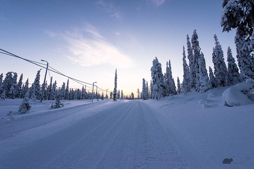 travel snow sunrise finland nikon tracks crosscountry ruka d610
