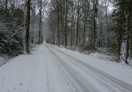 road trees snow holland netherlands forest woodland bomen woods sneeuw ngc tracks nederland bos achterhoek winterswijk weg gelderland woold panasonicdmcfz150 1200427