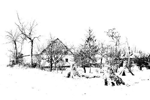 ranch winter light white house snow black building tree weather landscape cornfield nikon farm pigeons serbia peaceful minimalistic acacia backa belatojzan