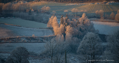 norge natur gran oppland forskjellig frostrim opplandfylke grankommune fylker 11steder 5fotografi