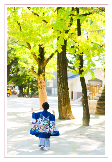 七五三写真　ロケーション・出張撮影　拳母（ころも）神社　愛知県豊田市　子供写真　自然な　ナチュラル
