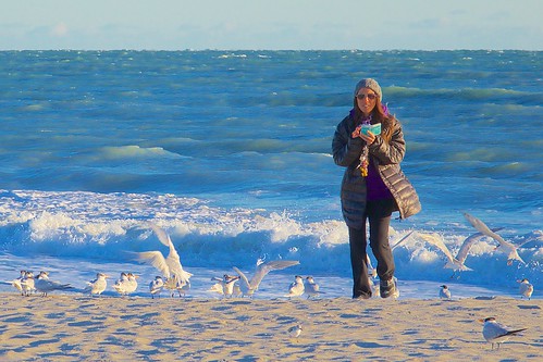 ocean seagulls cold beach sunglasses sunrise dawn sand solitude surf alone florida jacket cap solitary iphone indialantic woolcap