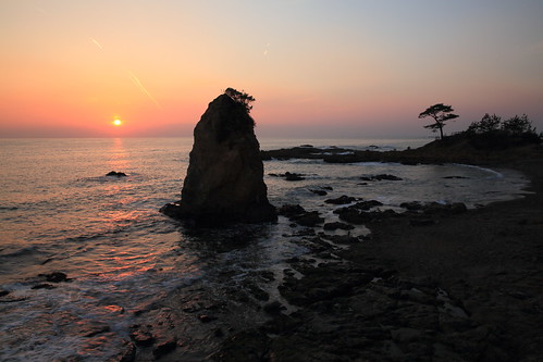 sunset seascape pinetree reflections scenery ngc wave seashore 松 日没 秋谷海岸