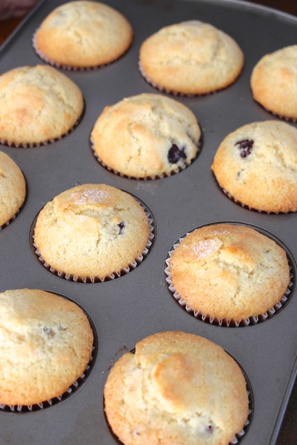 blackberry-muffins