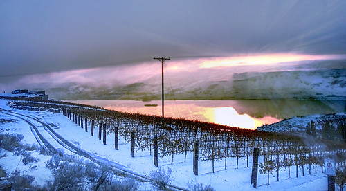 winter snow sunrise dawn vineyards columbiariver maryhill colulmbiarivergorge
