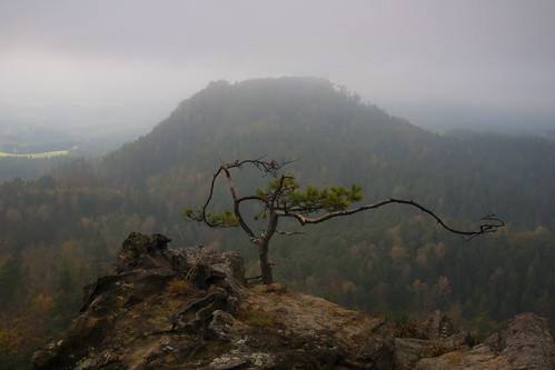 autumn trees sky clouds rocks hill českosaskéšvýcarsko bohemianswitzerlandnationalpark