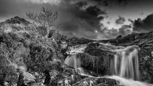 bw white black tree skye waterfall rocks stream february cuillins isle sligachan 2015