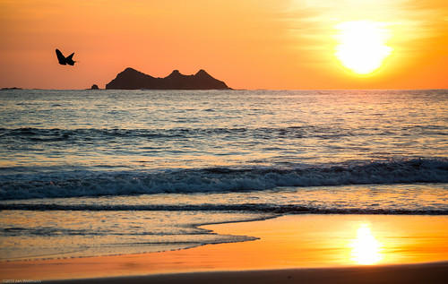 ocean sunset sea reflection butterfly island costarica puntarenas costa1 bahíaballena