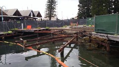 Rebuilding the boardwalk at Fishing Boat Harbour