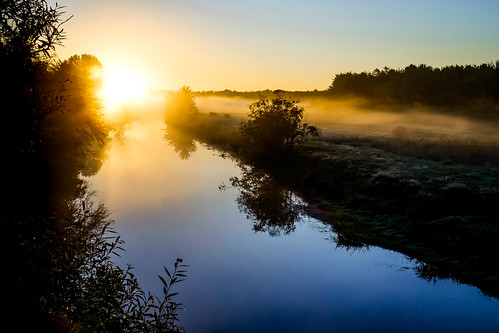 fujixe2 novascotia canada cans2s cornwallisriver river morning sun backlight backlit 2016 mist fog field water reflection