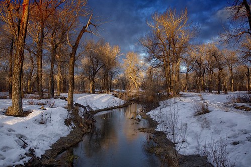 morning winter cold calgary clouds sunrise bowriver pearceestatepark