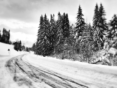 road trees blackandwhite bw white snow black landscape blackwhite forrest snowy