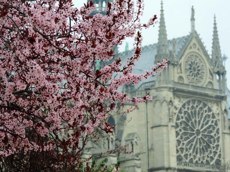 Paris Spring
