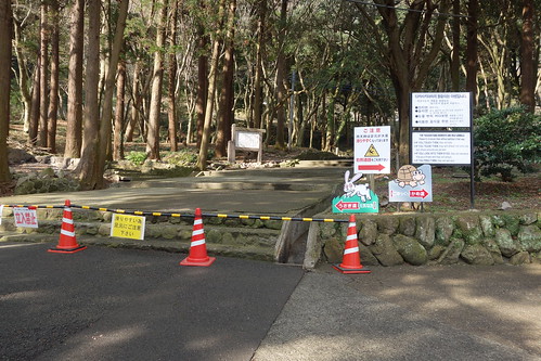 Mt.Takasaki Wild Monkey Park