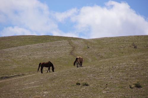 california ca sanluisobispocounty horses hills clouds trail two omot