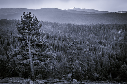 view california usa landscape unitedstates trees overlook mountains blackandwhite bw monochrome