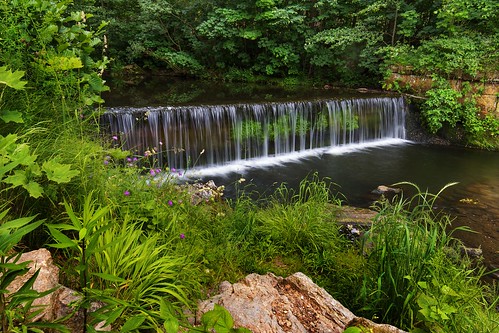 moravian weir waterway waterfall water trees stream scenic river plants nature natural leaves leaf landscape green flow dam countryside country beautiful background