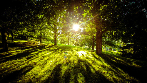 pueblo bosque contraluz atardecer verde arboles sol siluetas paz serenidad tranquilidad wood backlight silhouette green sun sunset peace cantabria santander españa es
