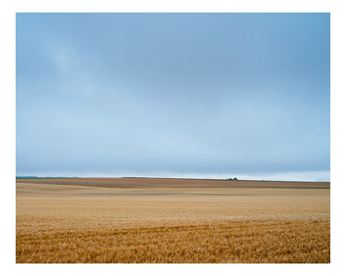 france rural landscape burgundy wheat fields vsco frôlois vscofilm
