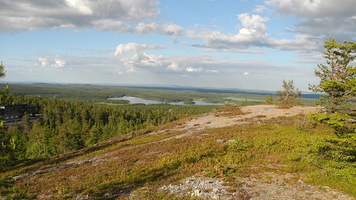 summer forest finland landscape geotagged evening july kuusamo fin ruka 2014 koillismaa 201407 juhannuskallio 20140706 geo:lon=2915872335 geo:lat=6615733617