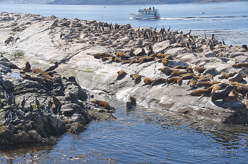 【写真】2015 世界一周 : ビーグル水道（ペンギン生息地まで）/2015-01-24/PICT8762