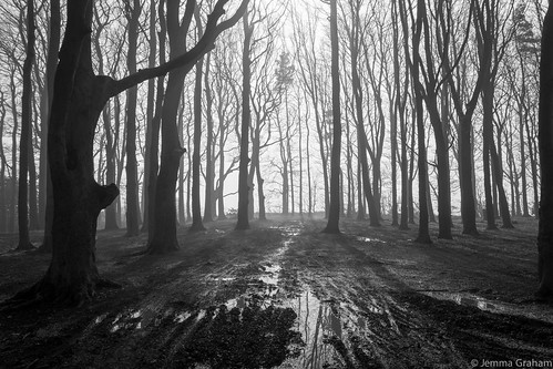 misty fog landscape birmingham walk foggy tracks puddles frankleybeeches d7100