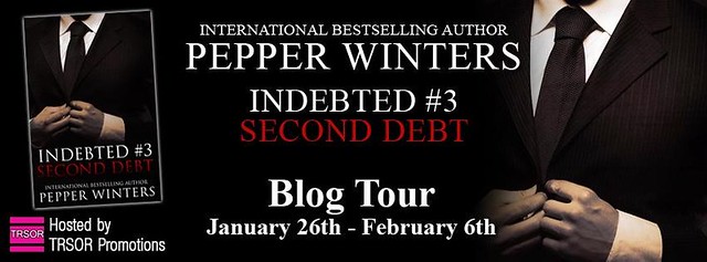 second debt blog tour