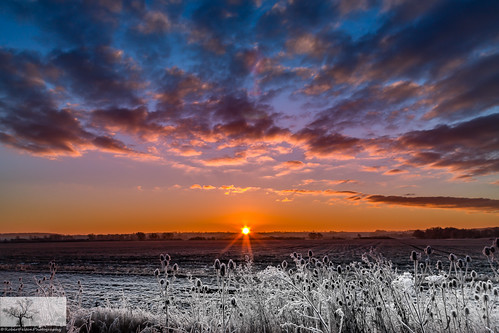 winter light sky sun silhouette skyline sunrise skyscape bedford frost bedfordshire felton frosted cardington robertfelton