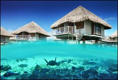 Yo quiero ir a Bora Bora!