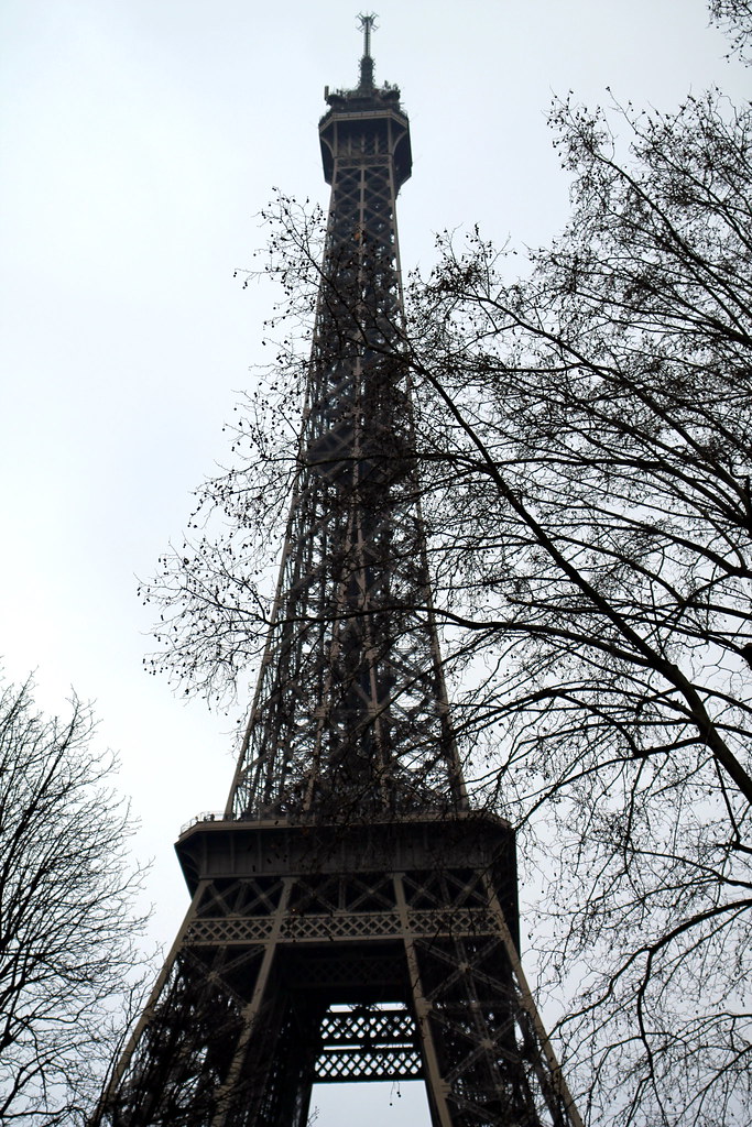 Eiffel Tower (2)