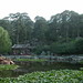 036 Jingcui Hu, lake near Fragrant Hills Hotel, Beijing
