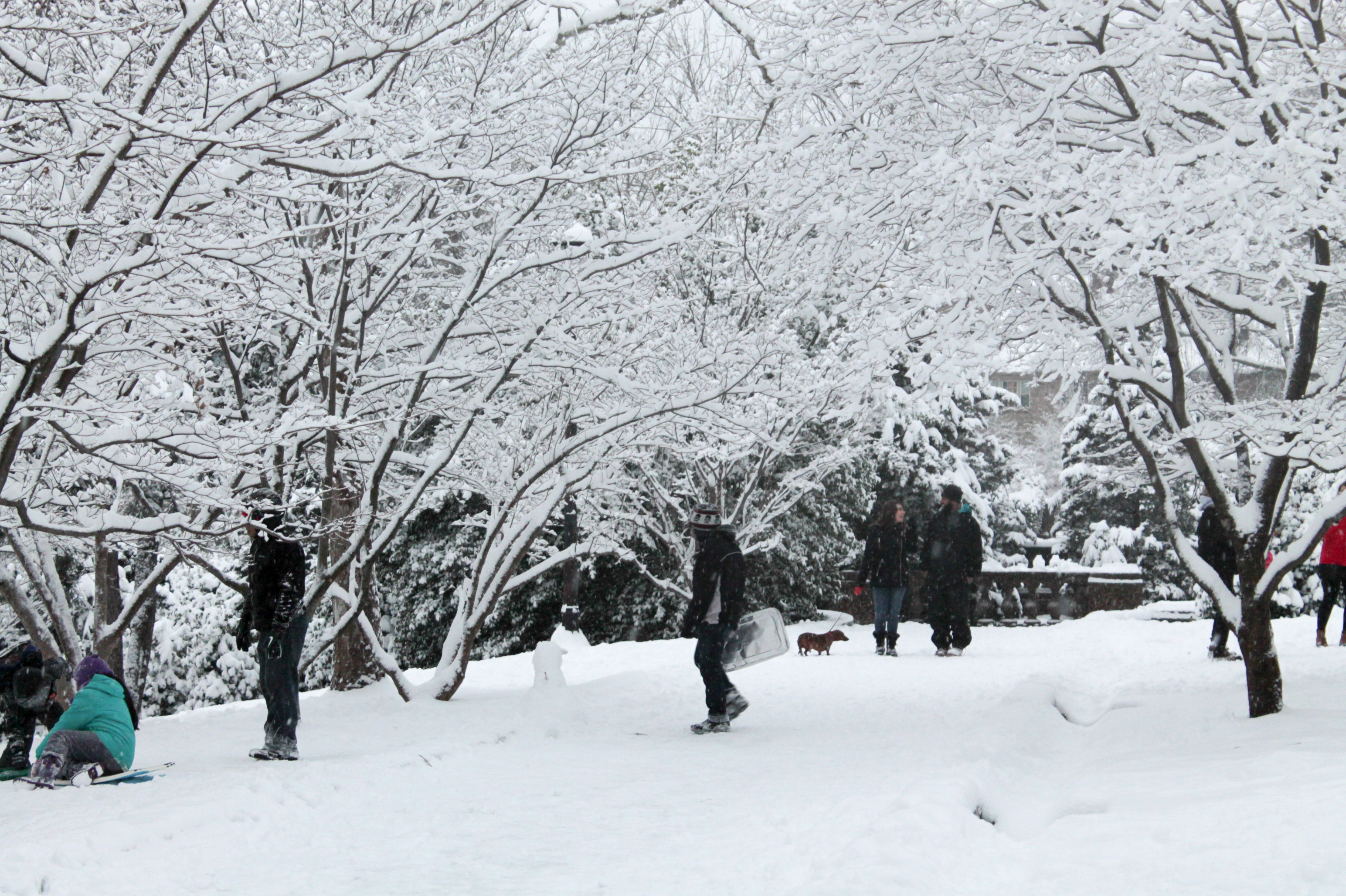 Snow-Day-Meridian-Hill-Malcolm-X-Park-Washington-DC-11.jpg