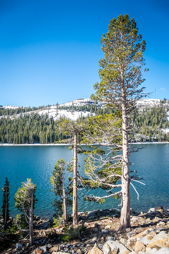 california usa landscape alpine mountains trees lake unitedstates scenery snow lumix dmcfz1000
