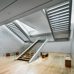 The Nasher Sculpture Center | Dallas, TX | Renzo Piano; The Beck Group