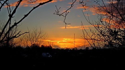 winter sunset red sky robin clouds december tit cheshire great rail dunnock trail blackbird thrush wheelock chaffinch turdus 2014 sandbach
