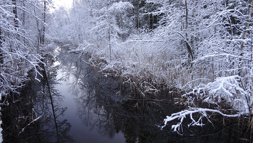 winter stream december talvi joki joulukuu