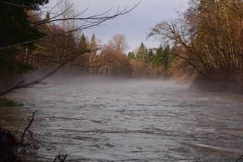 fog river nikon bc britishcolumbia blackcreek oysterriver d610 24120