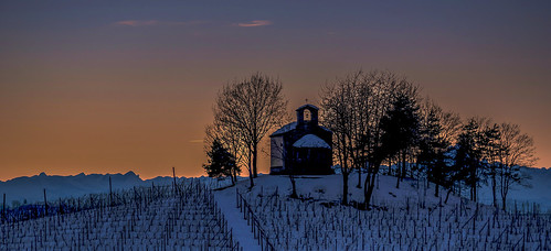 winter sunset snow alps reflex vineyard tramonto alba tripod piemonte neve inverno cuneo alpi vigne langhe castiglionefalletto treppiede perno nikond90 serralungadalba 55200vr