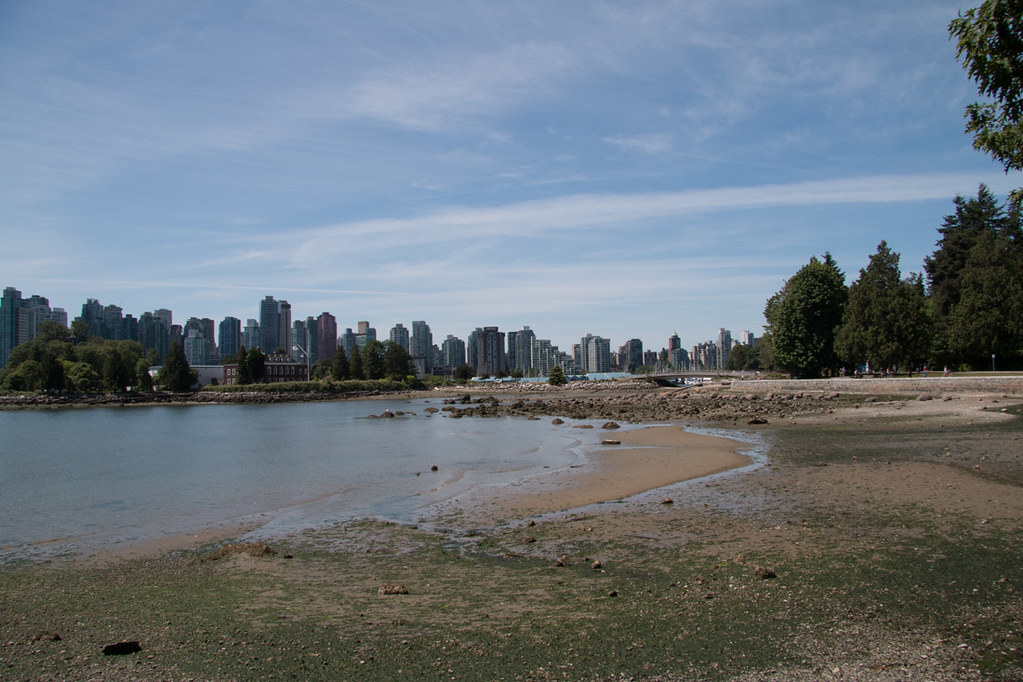 View of Vancouver skyline from Stanley park