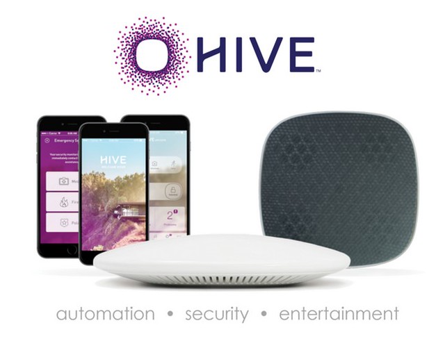 The Hive Brain and Sound