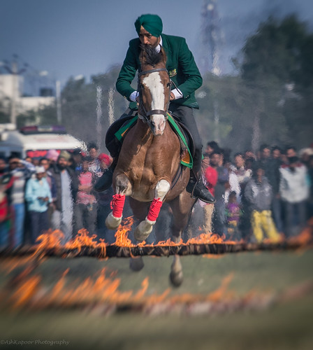 carnival horse india festival race fire olympics cart punjab adrenaline horserace ruralolympics indianculture indianlife cartrace kilaraipur animan indiantradition indiantravel