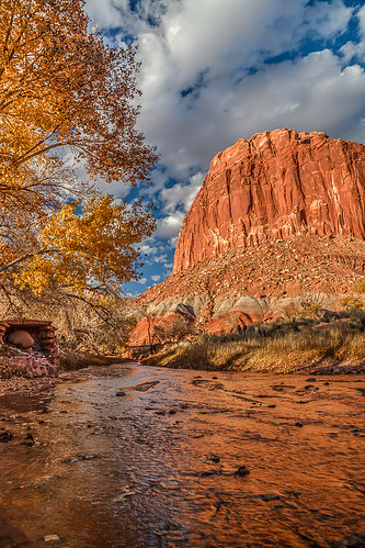 capitol reef national park southern utah united states usa american southwest red rock sandstone canyon country landscape nature photography canon photo copyright jeff sullivan 2009 november capitolreefnationalpark fall yellow oak trees reflection travel roadtrip visitutah photomatixpro